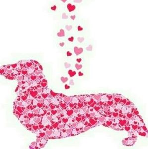 Meet your Posher, Dale